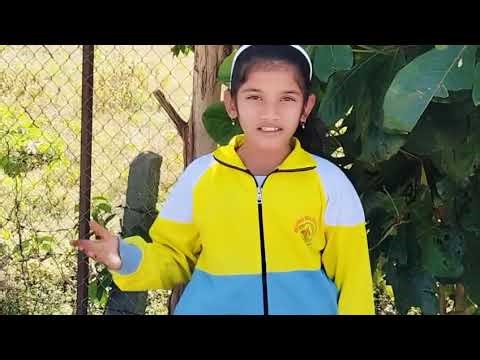 EVS activity by grade 4