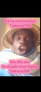 POV: when Tsaka drops a new song | Limpopo Trending