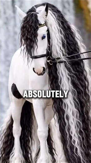 These 3 Horse Breeds Have The Most Stunning Blue Eyes #horse #shorts