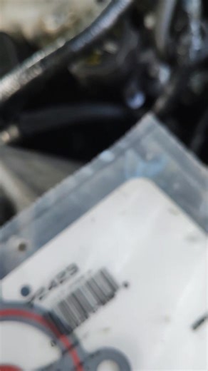 oil filter housing gasket .camshaft vvt solenoid .oil pressure sensor 2006 Chevy Impala 3.9 | Xavier MechanicMan Reddick