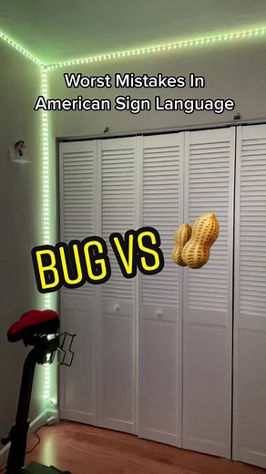 American Sign Language: Bug Signs in Bedroom