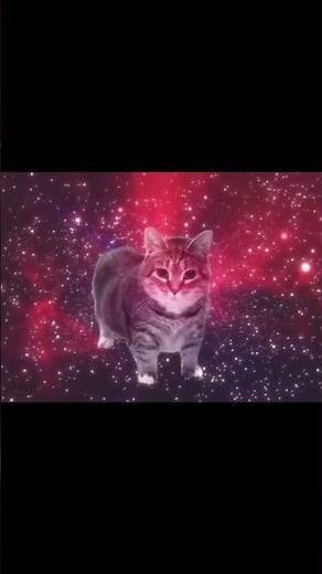 OIIAOIIA Virla Cat in Stunning 4K Funniest Cat Sound Ever!Viral OIIAOIIA Cat in Ultra HD 4K #shorts