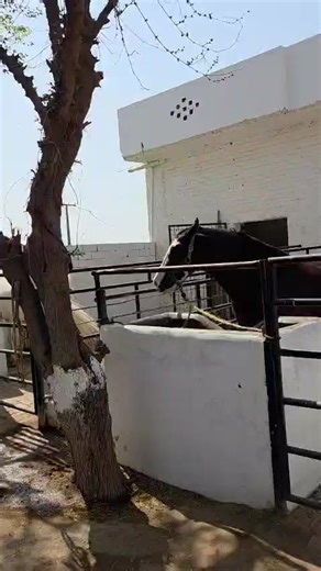 Exploring the Connection Between Pakistan and Cyprus in Travel
