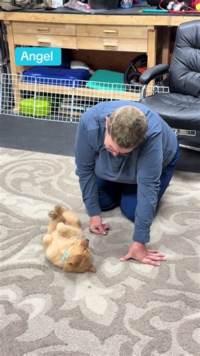 Meet Angel: The Sweet and Smart Angel Hair Pasta