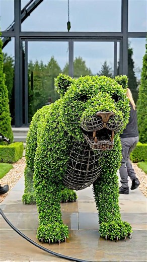 Building a Living Jaguar Topiary: Wire-to-Green Reveal #topiary #landscape #art