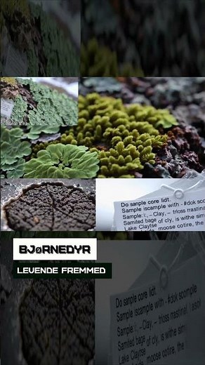 Bjørnedyr. Levende fremmed