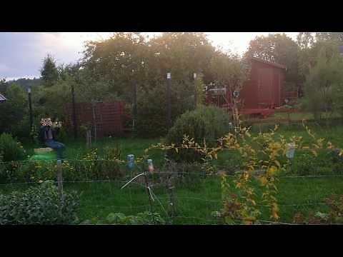 Real Flying Platform Grebennikov Technology