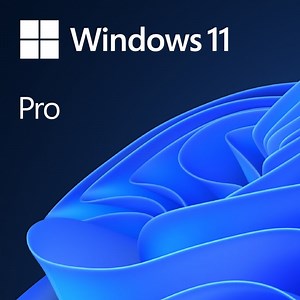 Microsoft Windows 11 Pro 64 Bit Español Licencia Permanente FPP Descarga Digital | PcComponentes.com