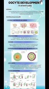 67012210006 Oocyte development : it’s all about quality