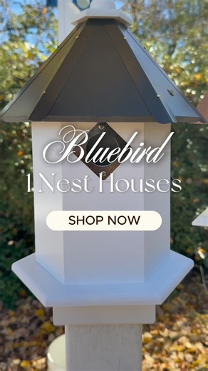 Our single-nest bluebird houses come in four distinctive designs — Songbird, Cathedral, All American, and Classic. Handcrafted for comfort, protection, and beauty, they’re built to attract bluebirds and enhance your outdoor space. | Paradise Birdhouses | Facebook