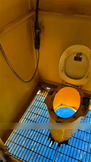 can you even po*p this kind of toilet? | #trending #info #foryou #funny #education