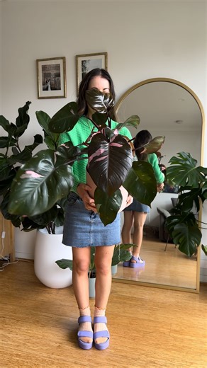 36K views · 416 reactions | Cutting off my prettiest leaf  this one hurt #philodendron #philodendronpinkprincess #pinkprincess #cuttingplants #pruning #houseplants . . . . . #plantsmakepeoplehappy #plantsofinstagram #plantlover #indoorplants #melbourne #melbournelife #melbourneblogger #melbourneplantclub #twoobs #pinkplants | Passthatplant | Facebook