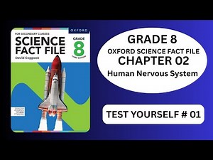 Human Nervous System | Test Yourself 01 | Grade 8 | Oxford Science Fact File Answers Explained