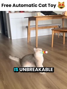 Bored Cat? This interactive water mat keeps them curious, entertained, and comfortable all day long! | Aqua-Cats-USA