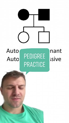 A Biology Teacher on TikTok