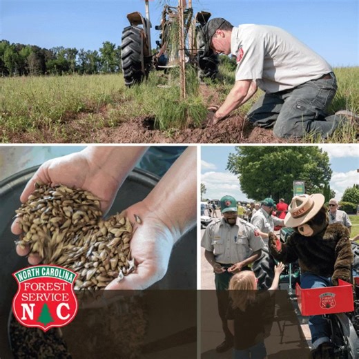 Explore your next career with the N.C. Forest Service. Benefits of working for our team include generous leave policies, flexible work schedules and one of the best retirement systems in the country. Get started with these resources: https://bit.ly/3n3piS4 | N.C. Forest Service