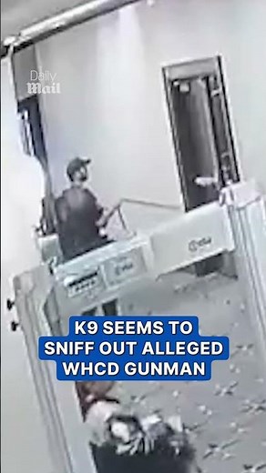 Stunning moment K9 dog appears to sniff out WHCD gunman