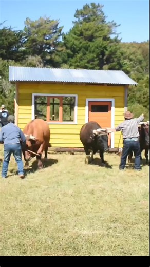 Minga Chilota: Tradición de Chiloé en Acción