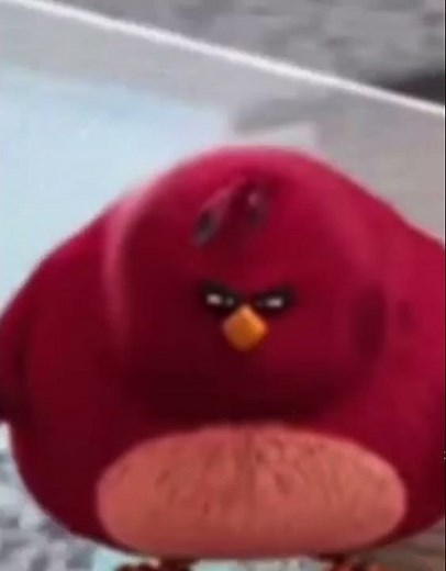 I used to tickle my pickle to angry birds 🤑🤑🤑🤑🤑🤑🤑 #relatable #cool #angrybirds #awesome #memes