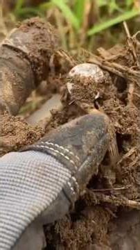 1,900 YEAR OLD Roman Silver TREASURE! #metaldetecting #treasure