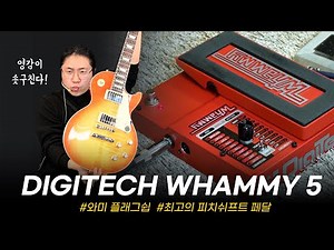 현존하는 최고의 피치쉬프터! Digitech 와미페달 Whammy 5 #투데이스기어 #todaysgear #프리버드 #디지텍 #와미 #이펙터
