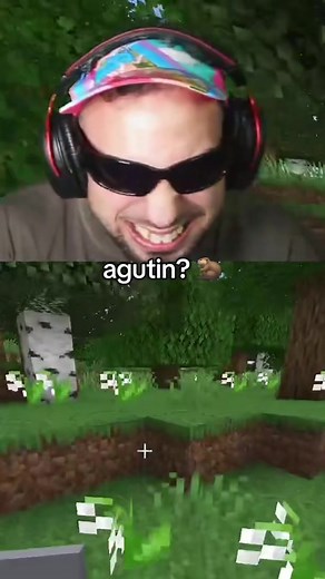 Exploring Agustin's Minecraft Castor Potions