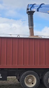 23K views · 182 reactions | Busy time of the year on the farm. Everyone be safe during this hectic time of spring. | 1HandnFarming | Facebook