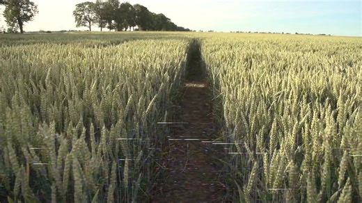 The Emerging of His Church is coming! January 4–6, 2026 Get ready for The Emerging Pastors & Leadership Gathering—a powerful time of impartation, worship, and growth. These three days will feature anointed worship and dynamic speakers who will pour directly into your life, your calling, and your leadership. And here’s the best part: You don’t have to be a Pastor or a leader to attend. This gathering is for everyone hungry to grow, to hear from God, and to step deeper into purpose. Register now a