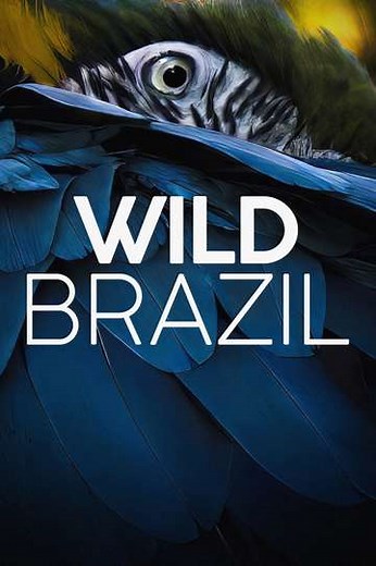 Wild Brazil - Season 1 (2014)
