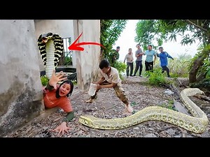 6 Brave Experts Rescue Ethnic Girl Attacked by Anaconda in Abandoned house