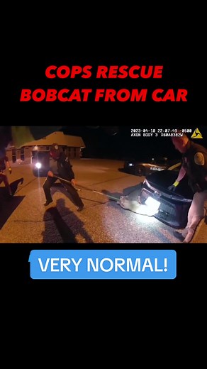 Wth man 🤣 #hero #cop #shoutoutot (h/t loudlabsnyc/IG)