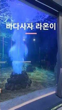 🐠 율준남매가 시흥 해양생태과학관에 가봤어요! 바다 생물 직접 만나기🌊 #시흥해양생태과학관 #시흥아이와가볼만한곳 #거북섬가볼만한곳 #가족나들이 #해양생물 #남매브이로그 #쇼츠