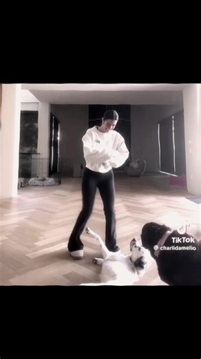 this was so fun to make. if this flops ima cry 😭 #fyp #viral #foryou #velocity