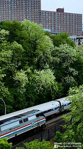 How close was it??? A meet of a combined Amtrak Trains 63/69 with AMTK 700/100 50th Anniversary and Amtrak Train 232 in Manhattan. Just in time! Check out my website at: https://www.riverrailphoto.com Like and follow on - Facebook: https://www.facebook.com/RiverRailPhoto/ Instagram: https://www.instagram.com/river_rail_photo Flickr: https://www.flickr.com/riverrailphoto/ | 𝐑𝐢𝐯𝐞𝐫 𝐑𝐚𝐢𝐥 𝐏𝐡𝐨𝐭𝐨