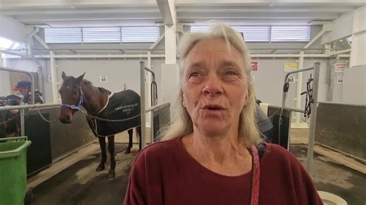 MAKE MY SUNDON may have won today but runner up EMILY was carrying our heart's for Bet Curtin. | Harness Racing Unhinged