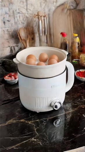 Compact Electric Multi Cooker for Student Living