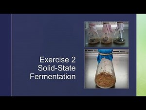 InBt121 Laboratory Exercise No. 2-Solid State Fermentation