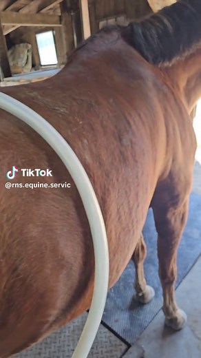 Discover the Benefits of PEMF Therapy