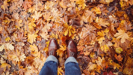 Fall foliage outlook: Peak colors still 2-3 weeks away for most of Pennsylvania
