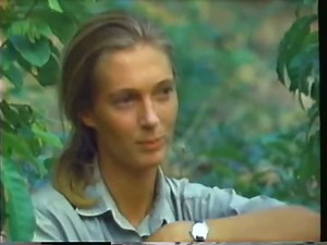 National Geographic Great Moments With National Geographic 1985 1991 VHS