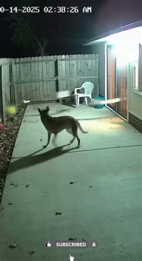 REAL POLTERGEIST Caught on Camera! (NOT FAKE)