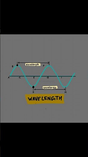 Wavelength Explained | Wave Graph Diagram 🌊