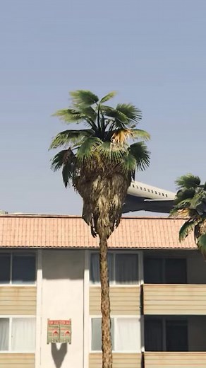 16K views · 127 reactions | ＂Close Shave： Plane Lands Safely After Engine Fire Near Airport!＂_converted#pilot #aviation #avgeek #pilotlife #aviationlovers #aircraft #aviationphotography #airplane #boeing #flying #aviationdaily #plane #airbus #flight #instagramaviation #instaaviation #fly #airport #f #aviationgeek #a #planespotting #instaplane #travel #cessna #b #cockpit #helicopter #pilotsofinstagram #piloteyes | The best Helicopter | Facebook