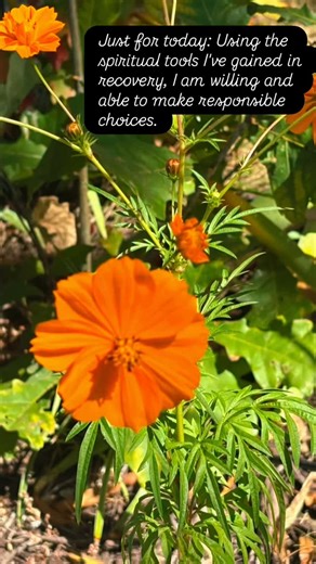 Just for today: As we learn how to effectively practice spiritual principles in all areas of our lives, the quality of our lives improves. Using the spiritual tools I’ve gained in recovery, I am willing and able to make responsible choices. #ichoosejoy #choosewisely #spiritualvibes #yourchoice | Debbie Mayo | Facebook