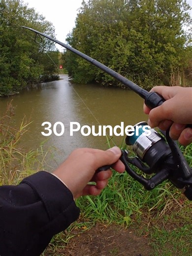 Budget Carp Fishing Tips for 30 Pound Catches