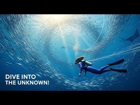 A Female Explorer Dives Into the Great Migration: Following the Ocean’s Longest Journeys 🌊