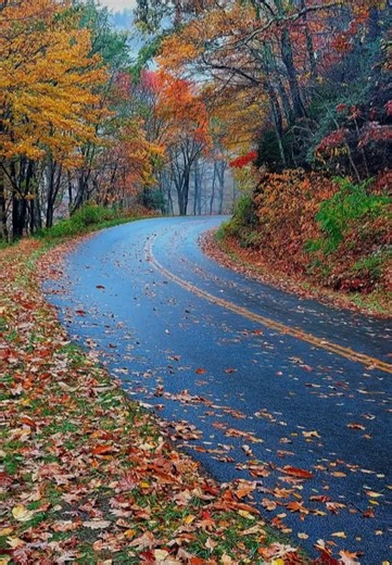 It's time for me to ride up to the Blue Ridge near Asheville to see the colorful fall leaves! Don't get me wrong, I'm definitely a beach lover but I also love the mountains especially during the fall season!! #ComingRealSoon #Ilovenature #naturechild #mountainlover #oceanlover | Vonda Ware | Facebook