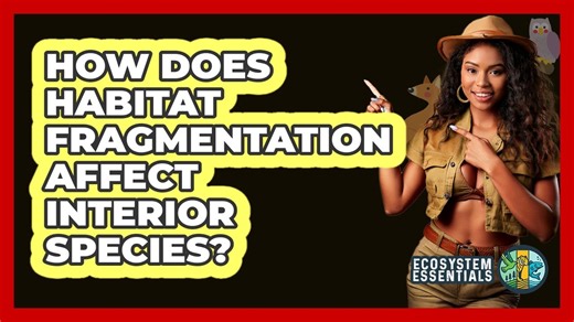 How Does Habitat Fragmentation Affect Interior Species?