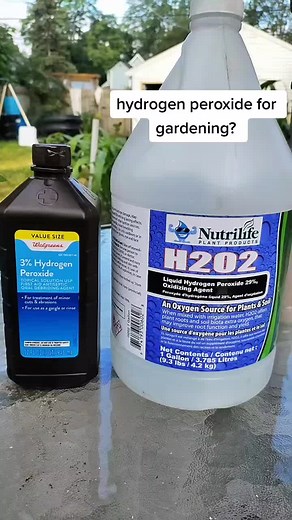 Understanding the Benefits of Hydrogen Peroxide in Gardening