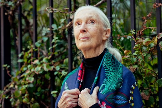 ‘She inspired me even more to do better’: Singaporeans mourn Jane Goodall’s death
